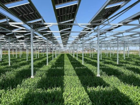 Agrivoltaic power generation system owned by the ENEGLOBAL Group