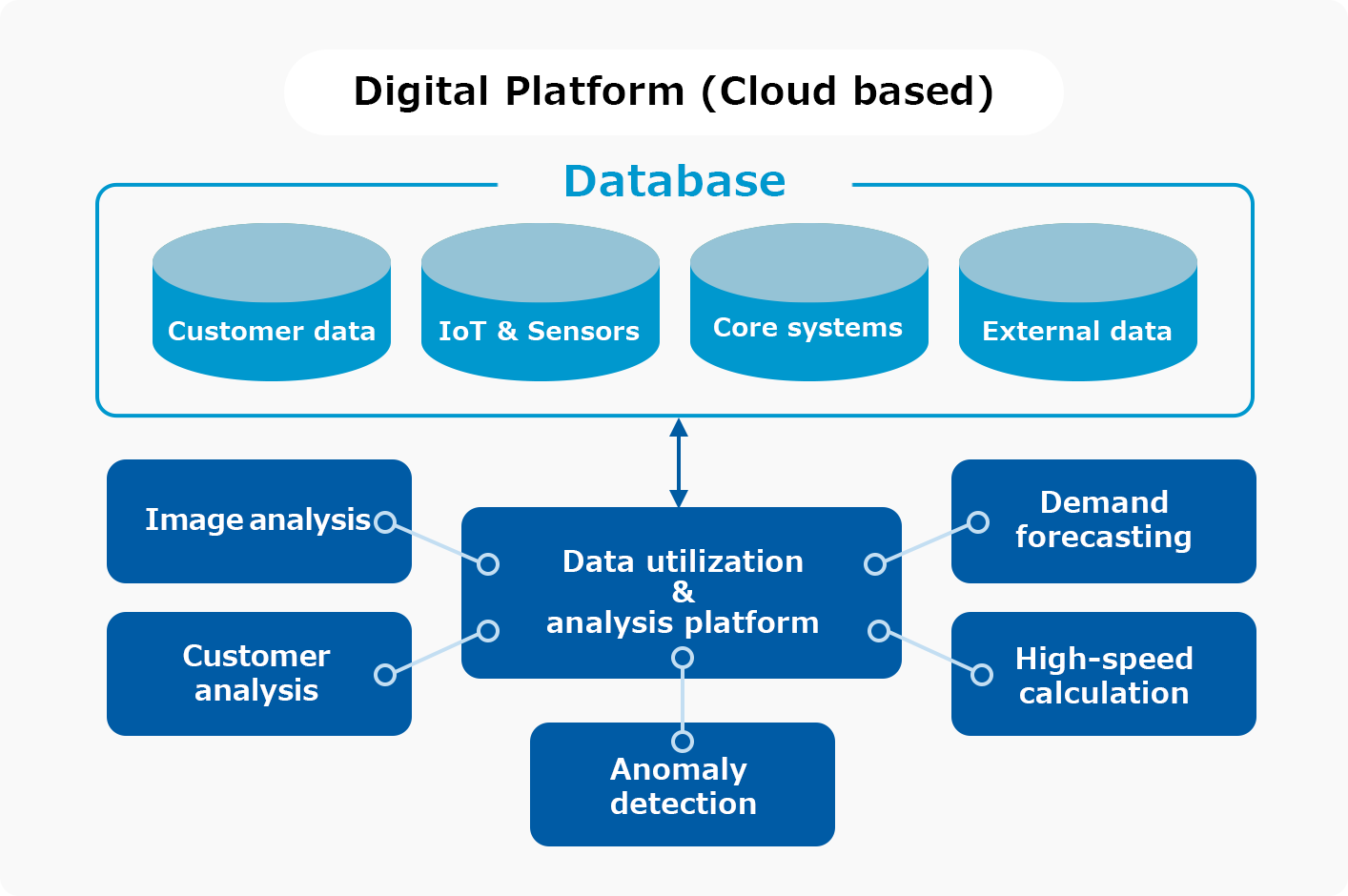 Digital Platform (Cloud based)