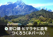 野口健 ヒマラヤに森をつくろう（ネパール）