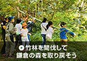 竹林を伐採して鎌倉の森を取り戻そう