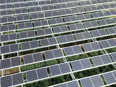 エネグローバルグループが保有する営農型太陽光発電所の地上から撮った写真