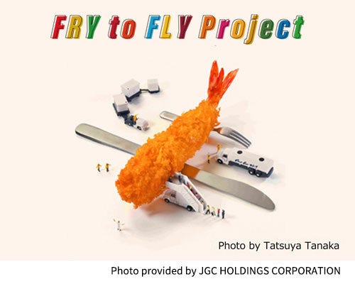Fry to Fly Project