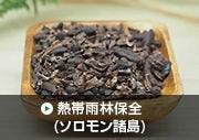 熱帯雨林保全（ソロモン）