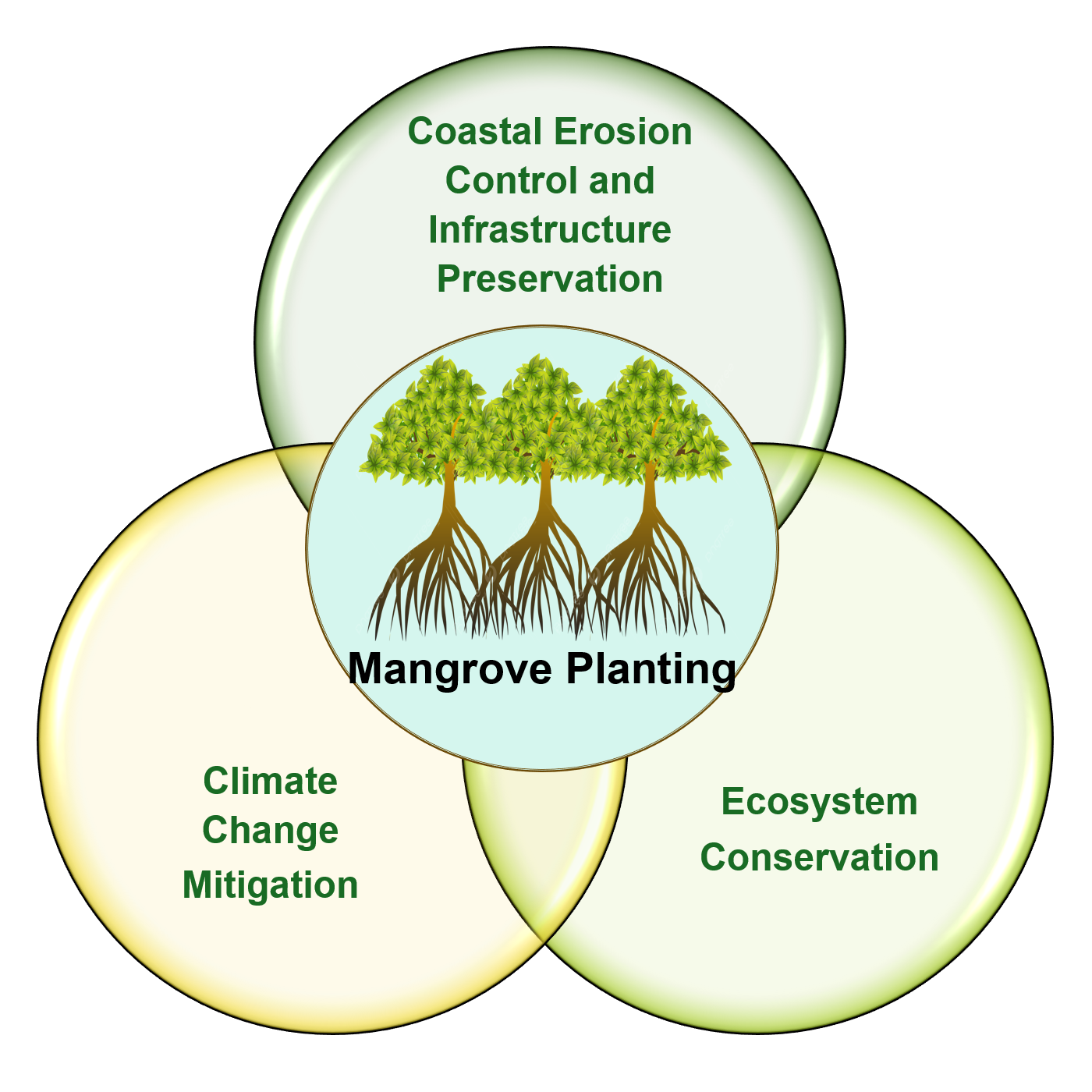 Benefits of Mangrove Planting