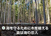 海を守るために木を植える 森は海の恋人