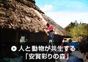人と動物が共生する「安賀彩りの森」