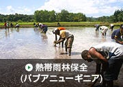 熱帯雨林保全（パプアニューギニア）