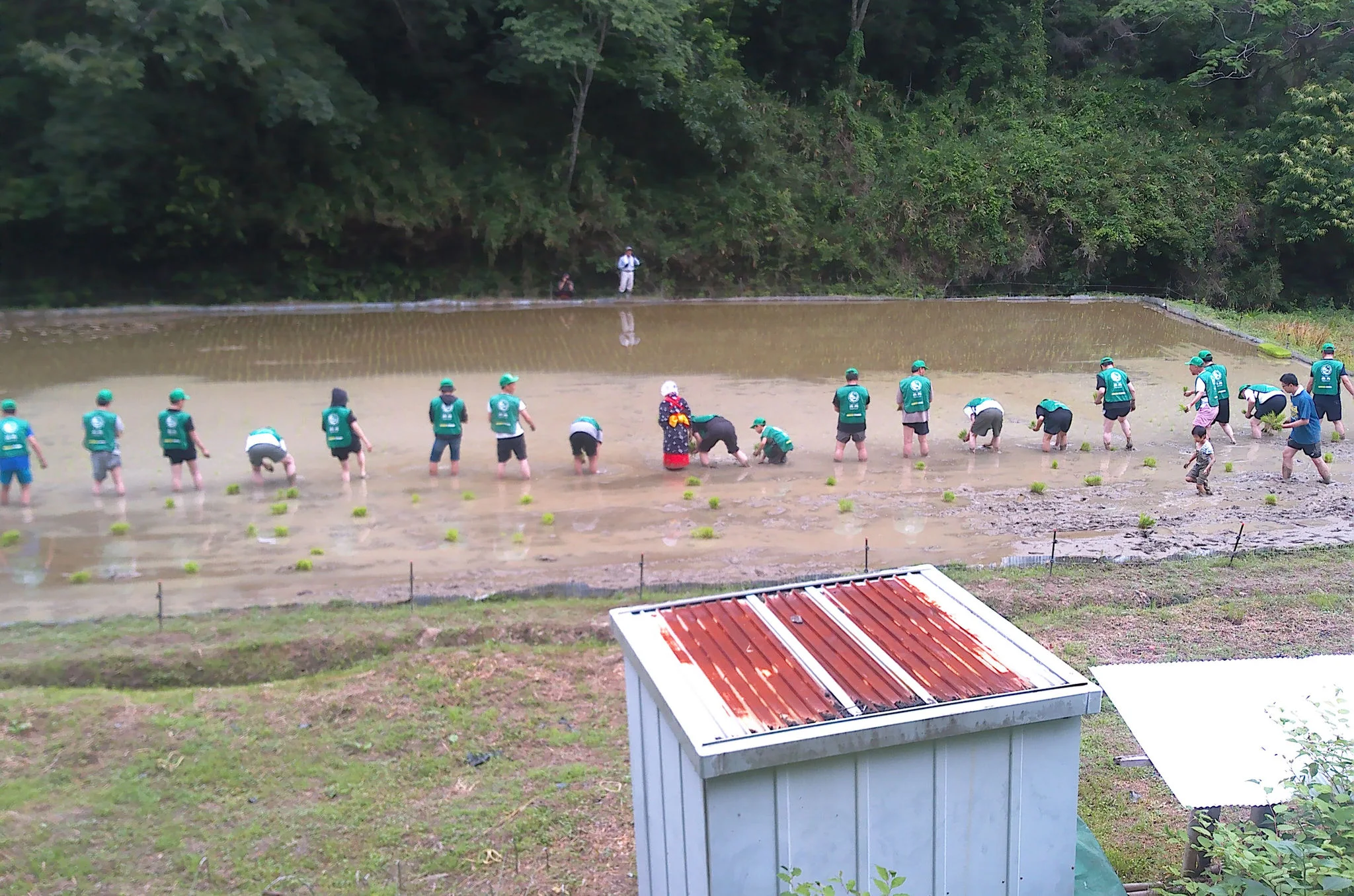 This photo is taken by AllWinner's v3-sdv