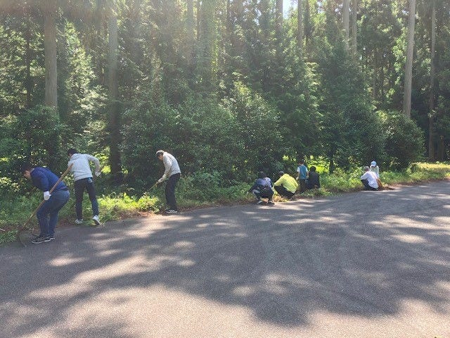 コスモの森 里山保全活動の様子（千葉）