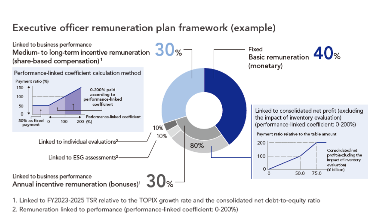 Executive Remuneration Plan Structure