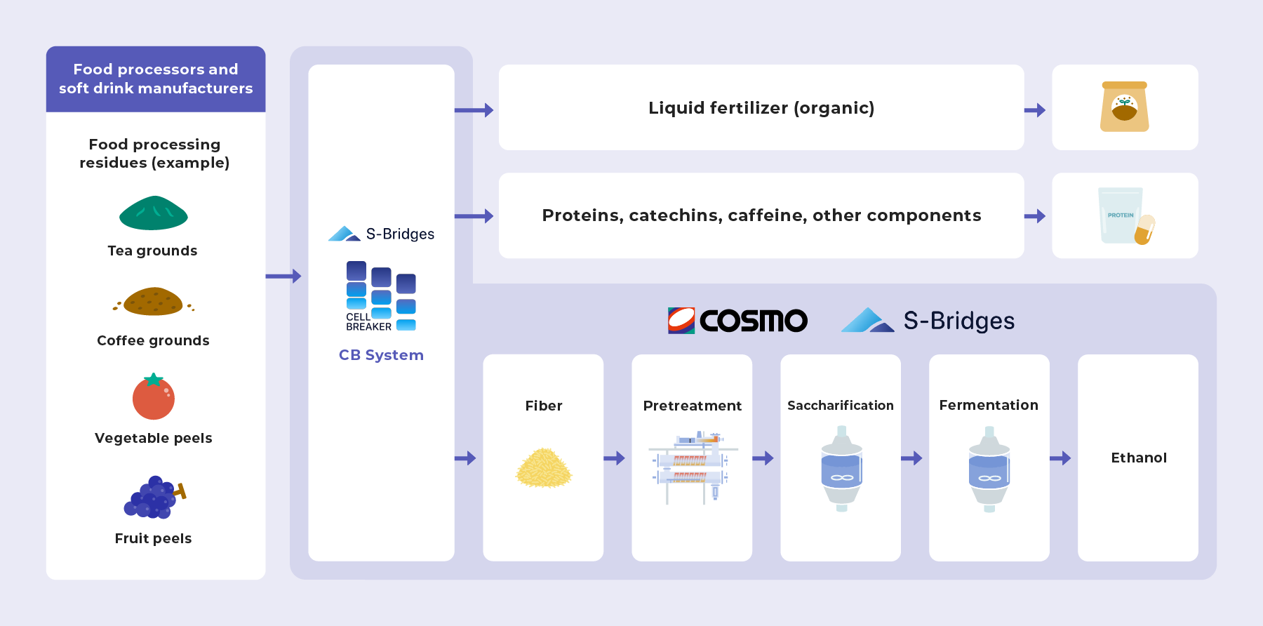 Conceptual diagram of the joint study