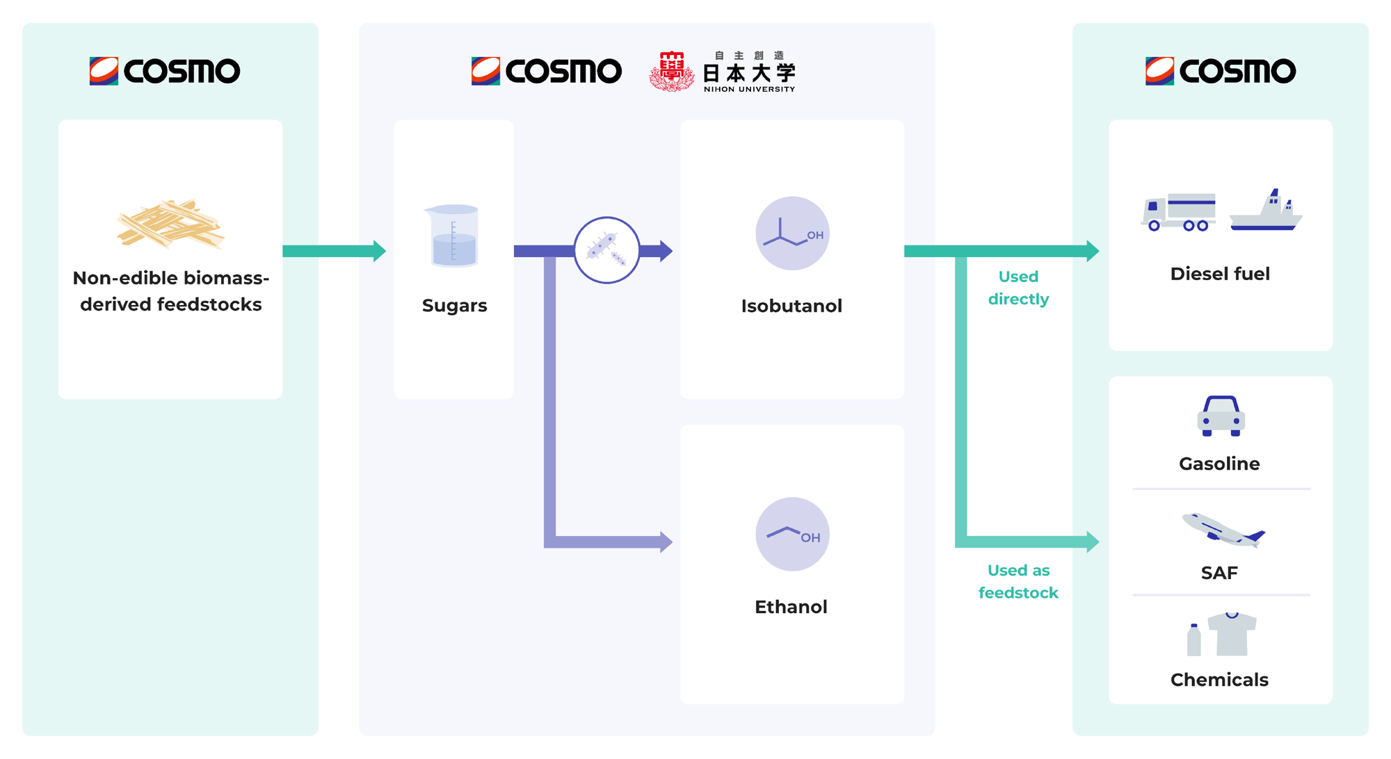 Conceptual Diagram of the Joint Study
