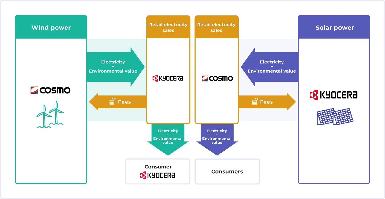 Structure of the PPA