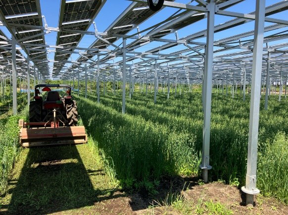 ENEGLOBAL Naka City No. 9 Power Plant (Agrivoltaic Power)