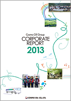 cover Corporate Report 2013