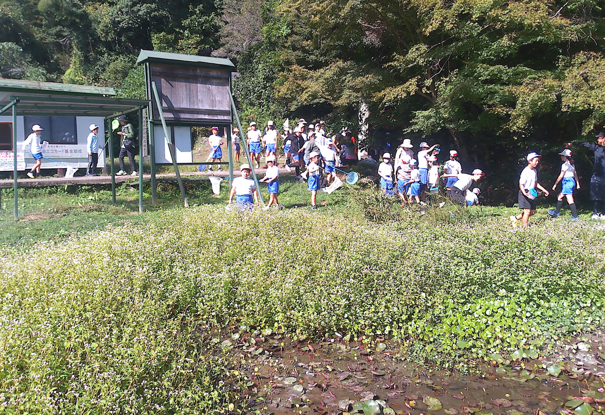 写真1