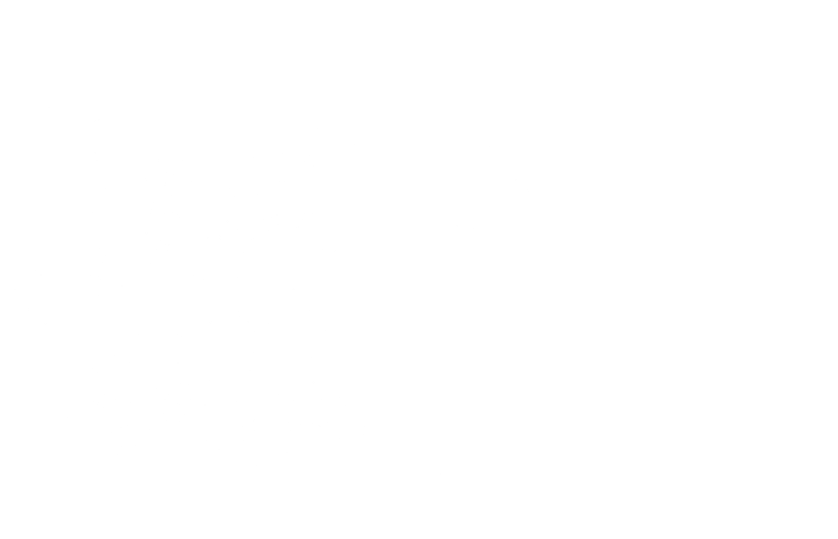 大好きな​アーティストのコンサートに​参戦した時