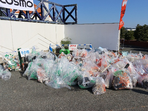 国安海岸での清掃活動の様子