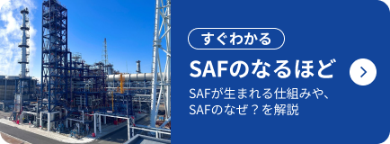 すぐわかる SAFのなるほど