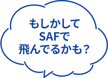 もしかしてSAFで飛んでるかも?