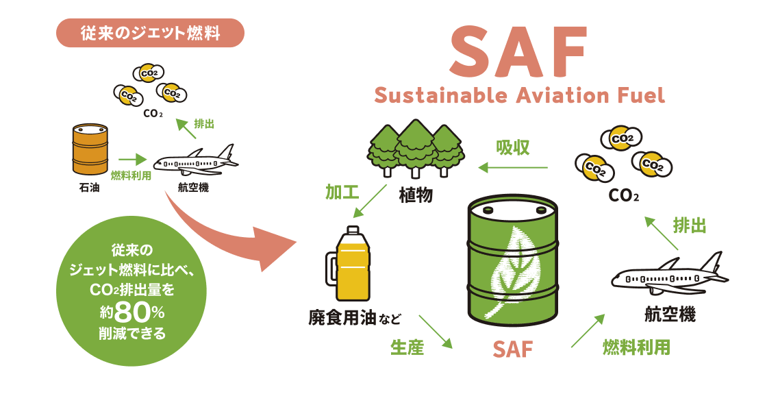 【従来のジェット燃料】 石油 燃料利用 航空機 排出 CO2 従来のジェット燃料に比べ、CO2排出量を約80%削減できる 【SAF(Sustainable Aviation Fuel)】 廃食用油など 生産 SAF 燃料利用 航空機 排出 CO2 吸収 植物 加工