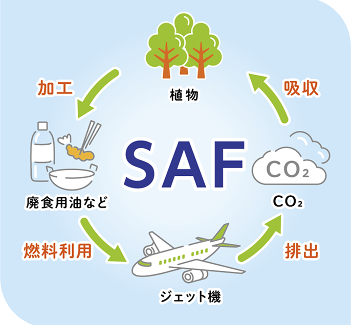 SAFサイクル図
